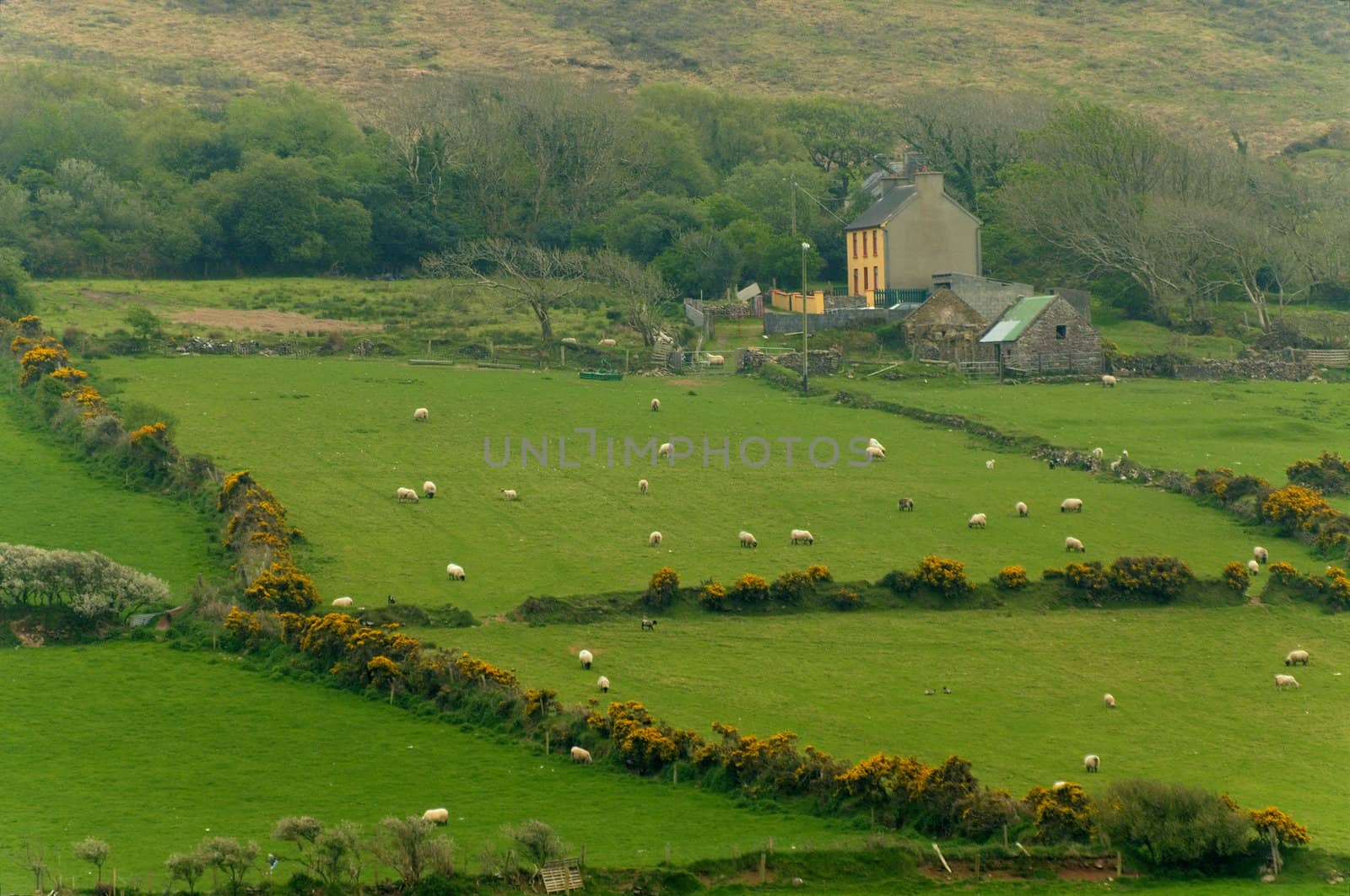 Countryside scene at Western Ireland