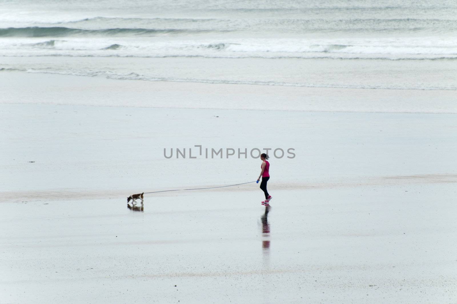 woman walking the dog by the beach