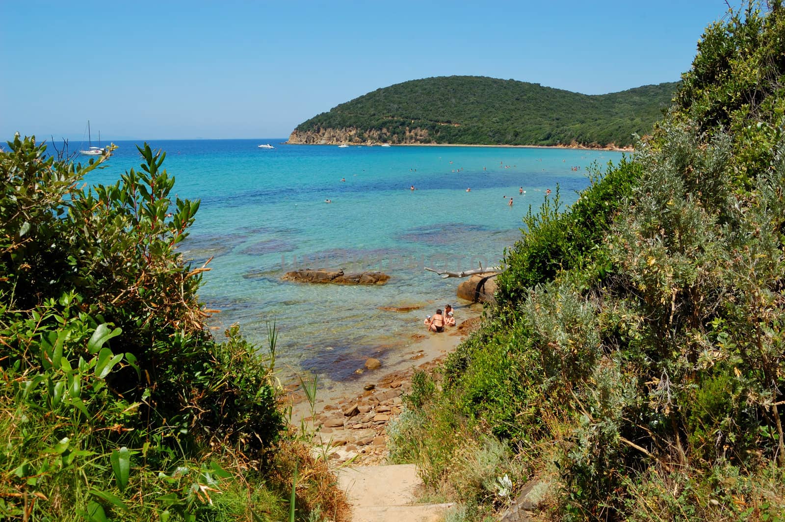 trail to the beach (Cala Violina, Tuscany Italy)