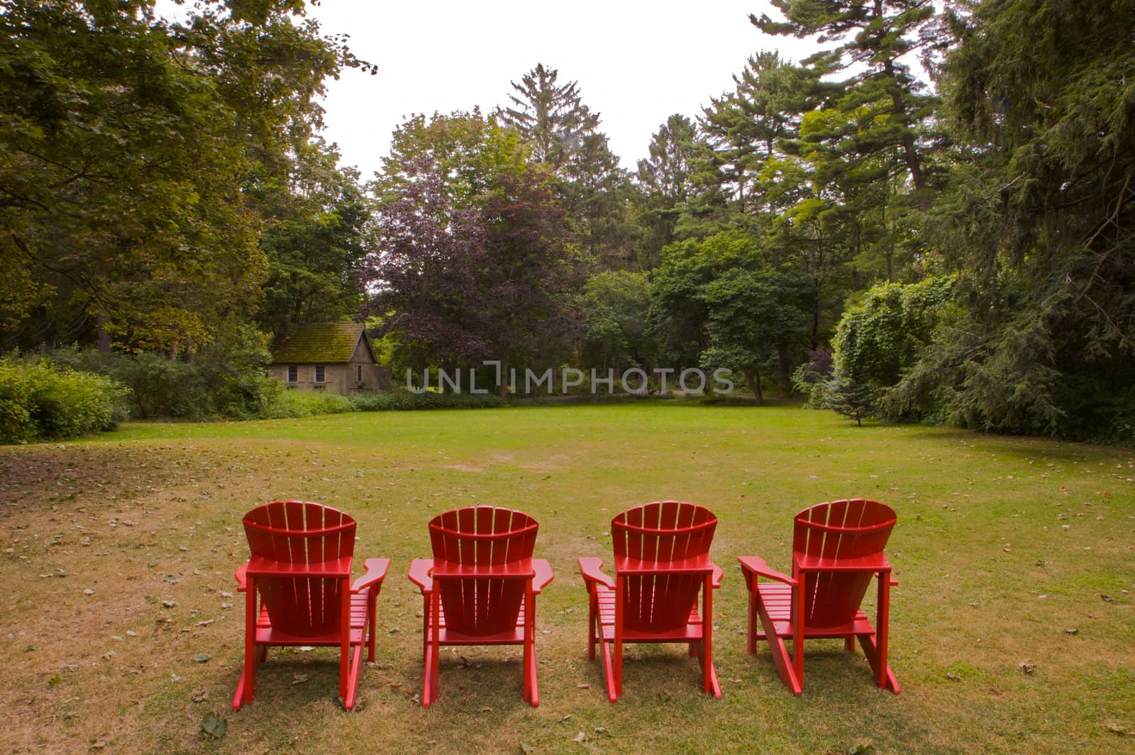 Four red adirondack chairs in a green meadow done in landscape
v