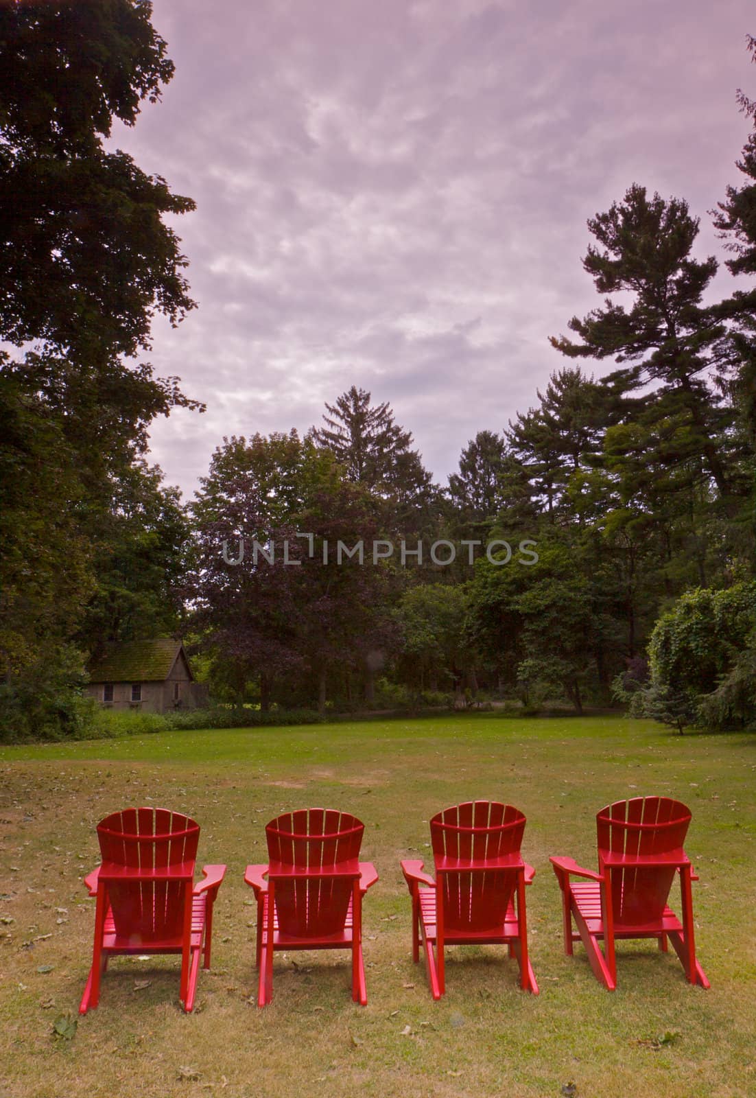 Four Adirondike Chairs Vertical by bobkeenan