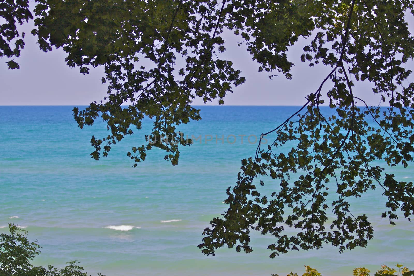 Lake michican coastline viewed from a cliff through and bordered by the leaves of a tree