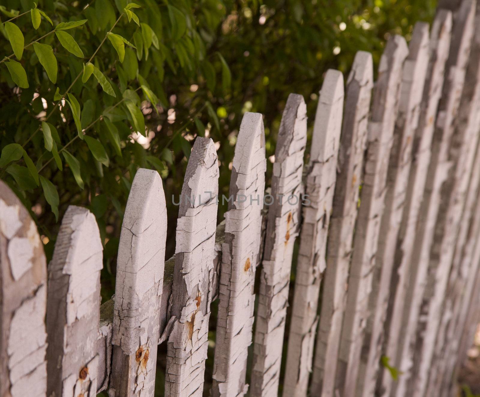 Old residential wood white picket fence placed diagonally across the image