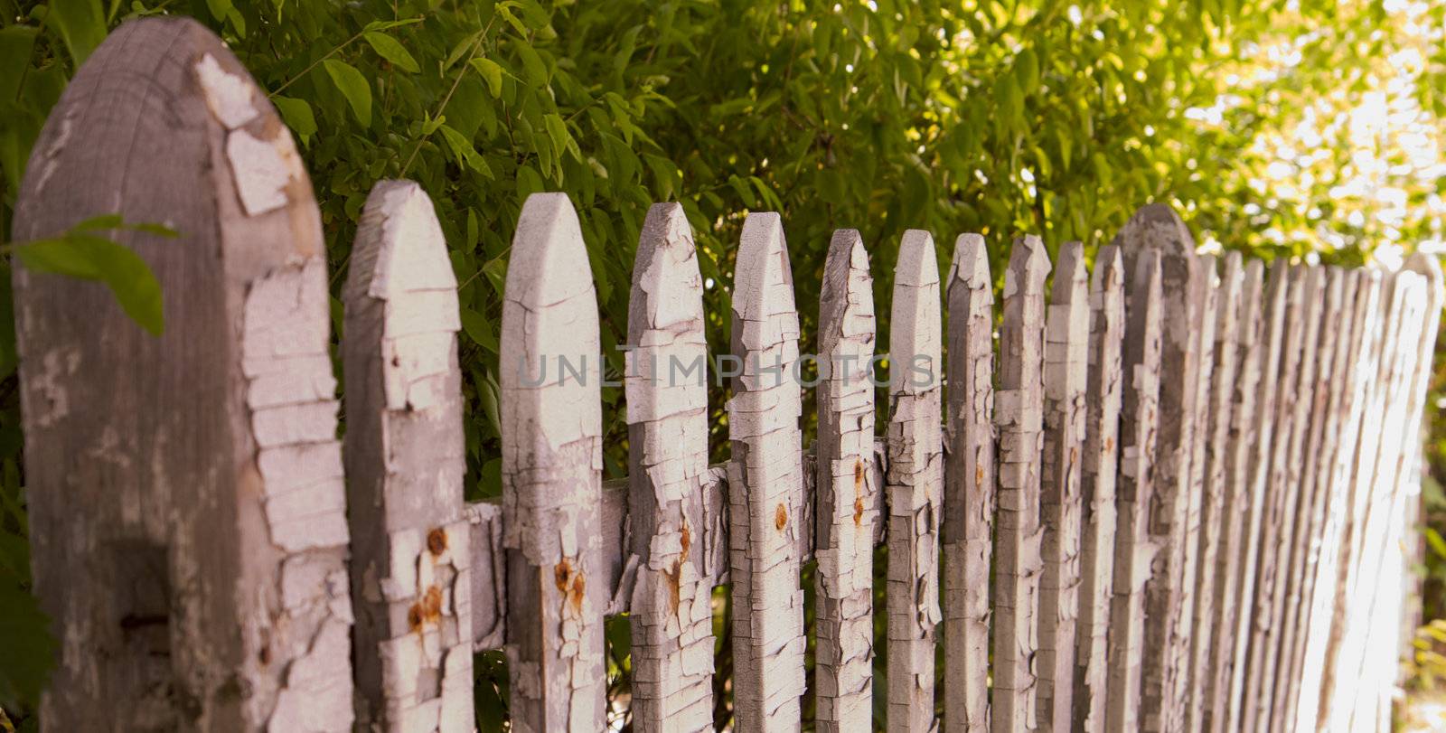 Old White picket fence by bobkeenan
