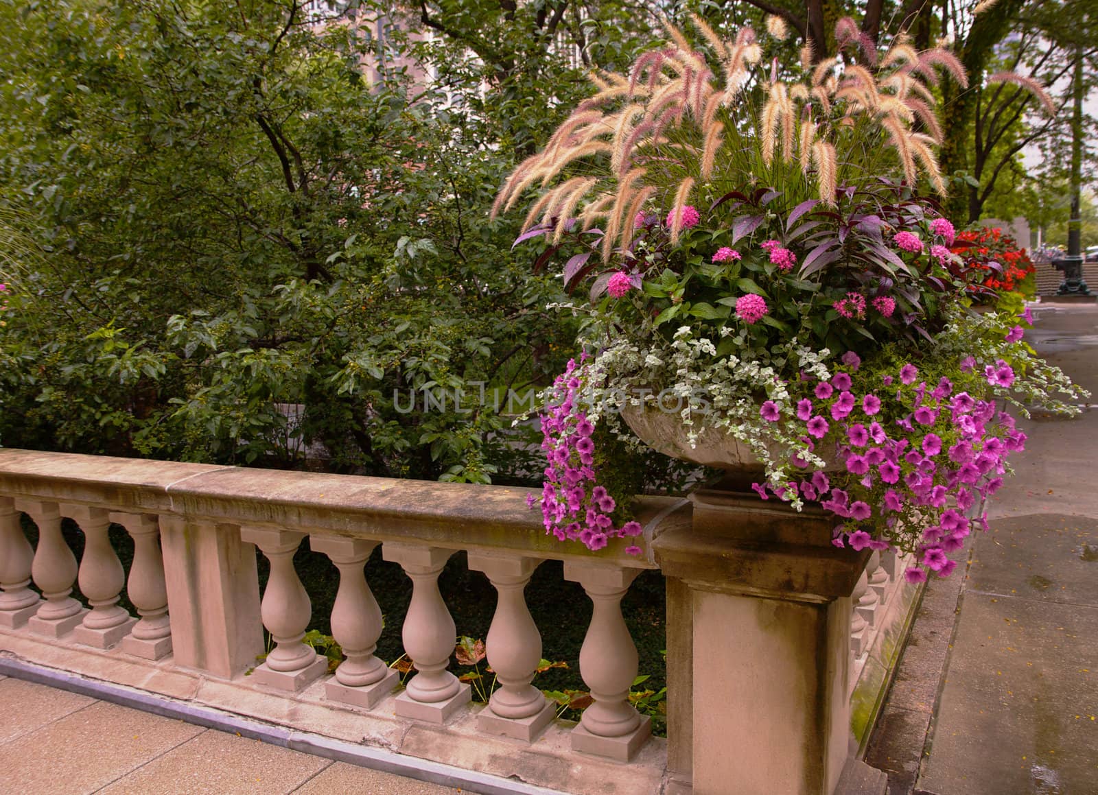 White and Violet flowers on Railing Corner by bobkeenan