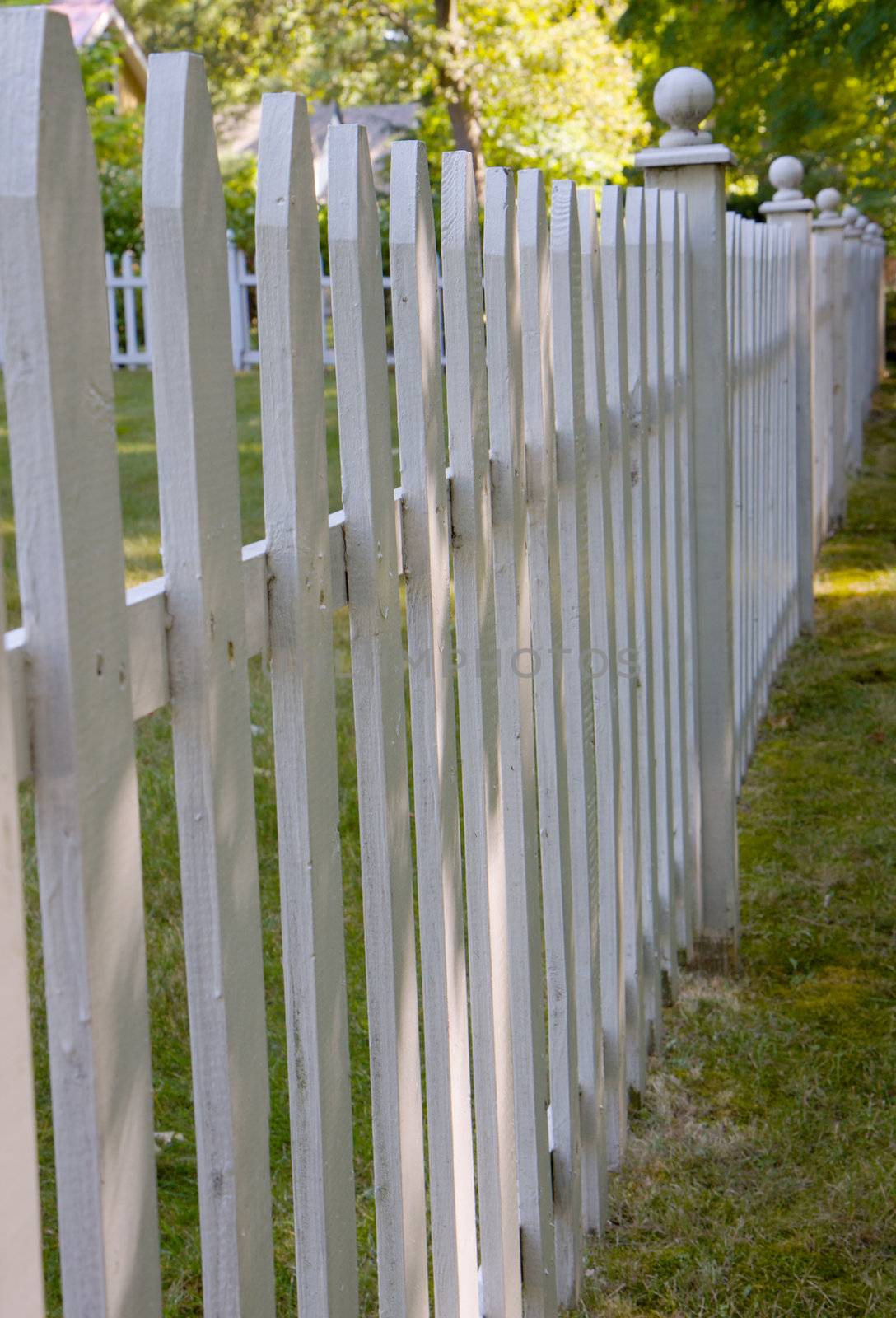 White picket fence by bobkeenan
