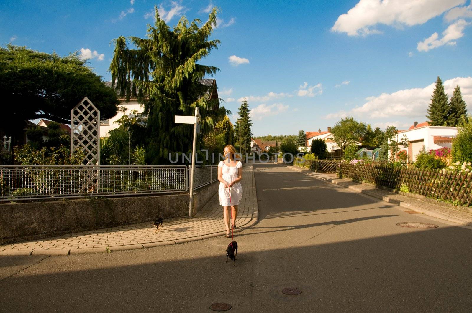 Young woman walking with her two small dogs. 