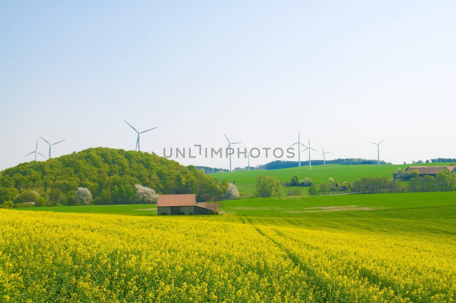 Alternative energy sources - windmills, and canola oil.