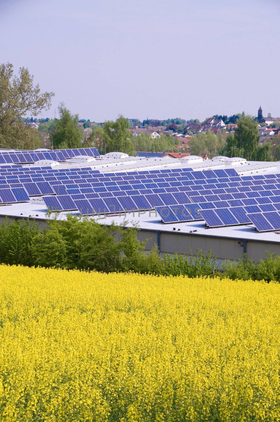 Alternative Energy - rape and solar panels.