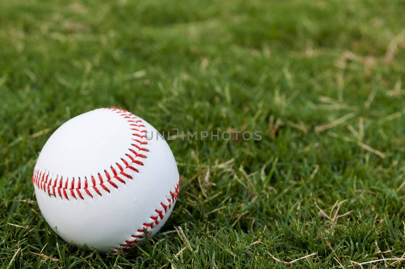 Closeup of baseball on grass with copy space.