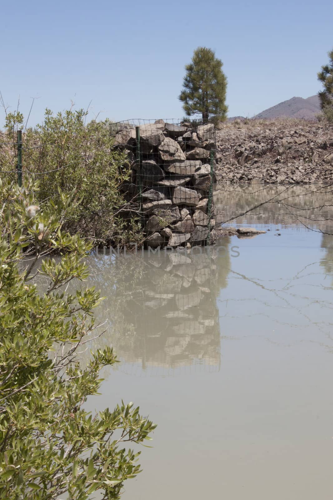 A small pond in the middle of the high desert