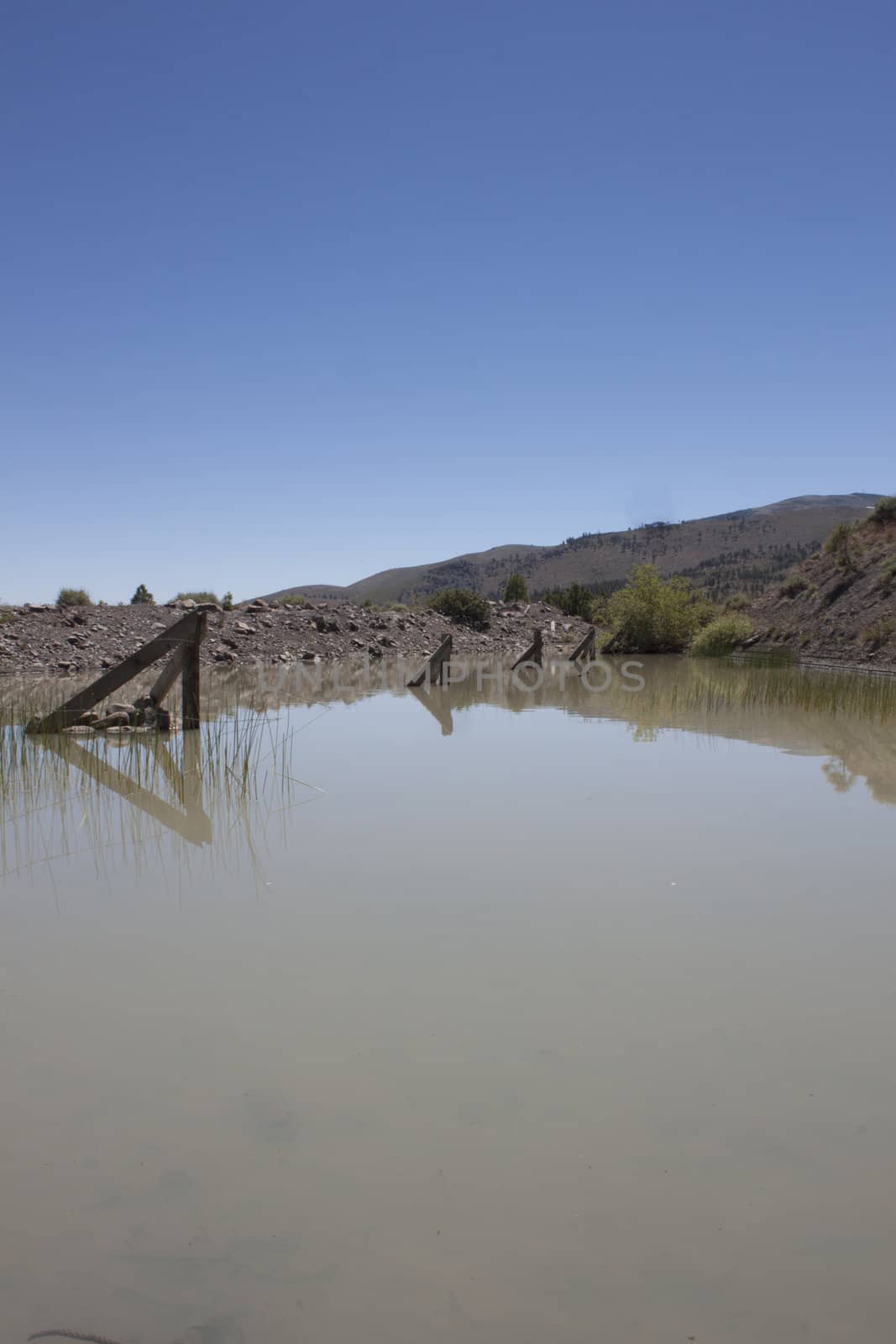 A small pond in the middle of the high desert