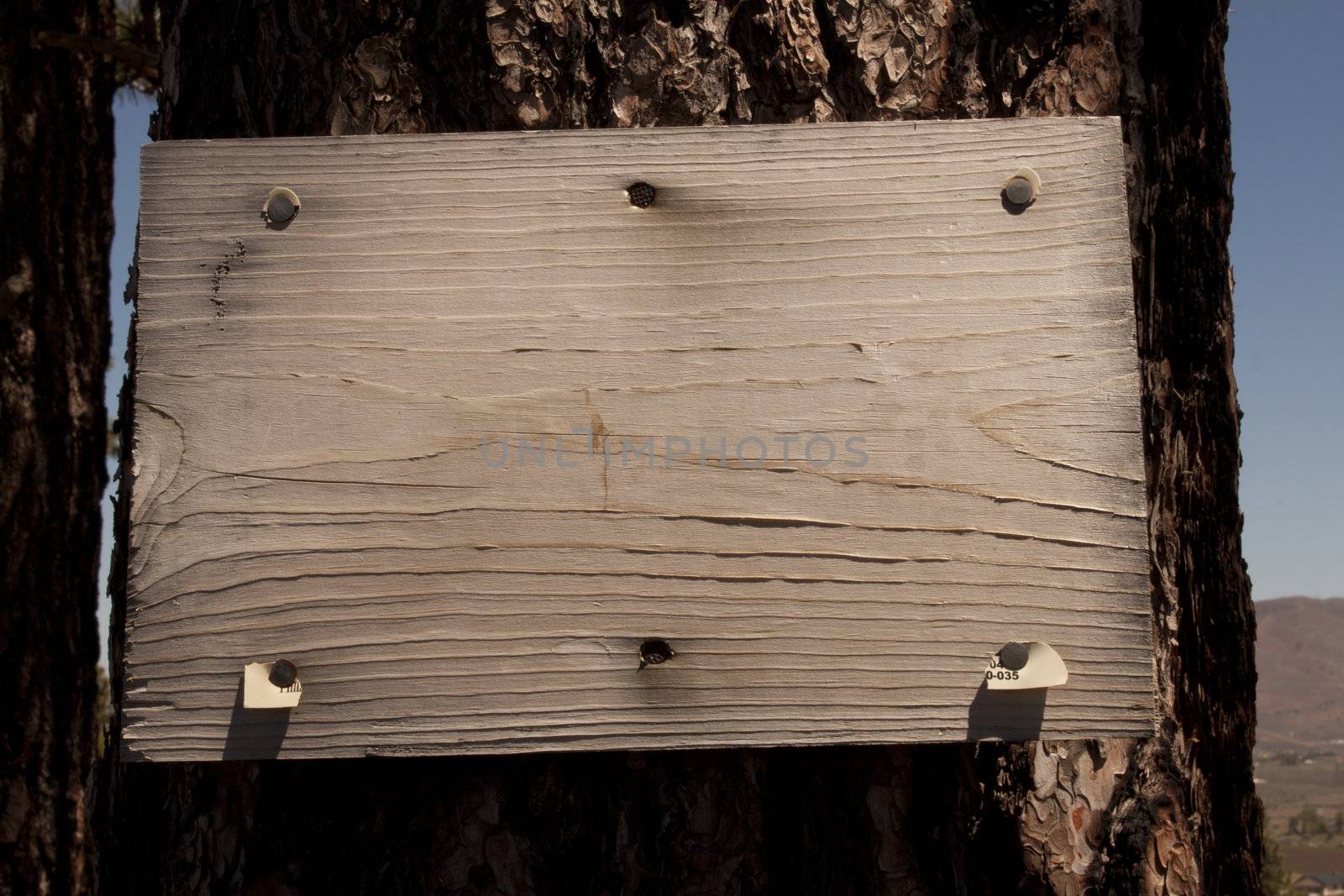 Wood Sign on a tree by jeremywhat