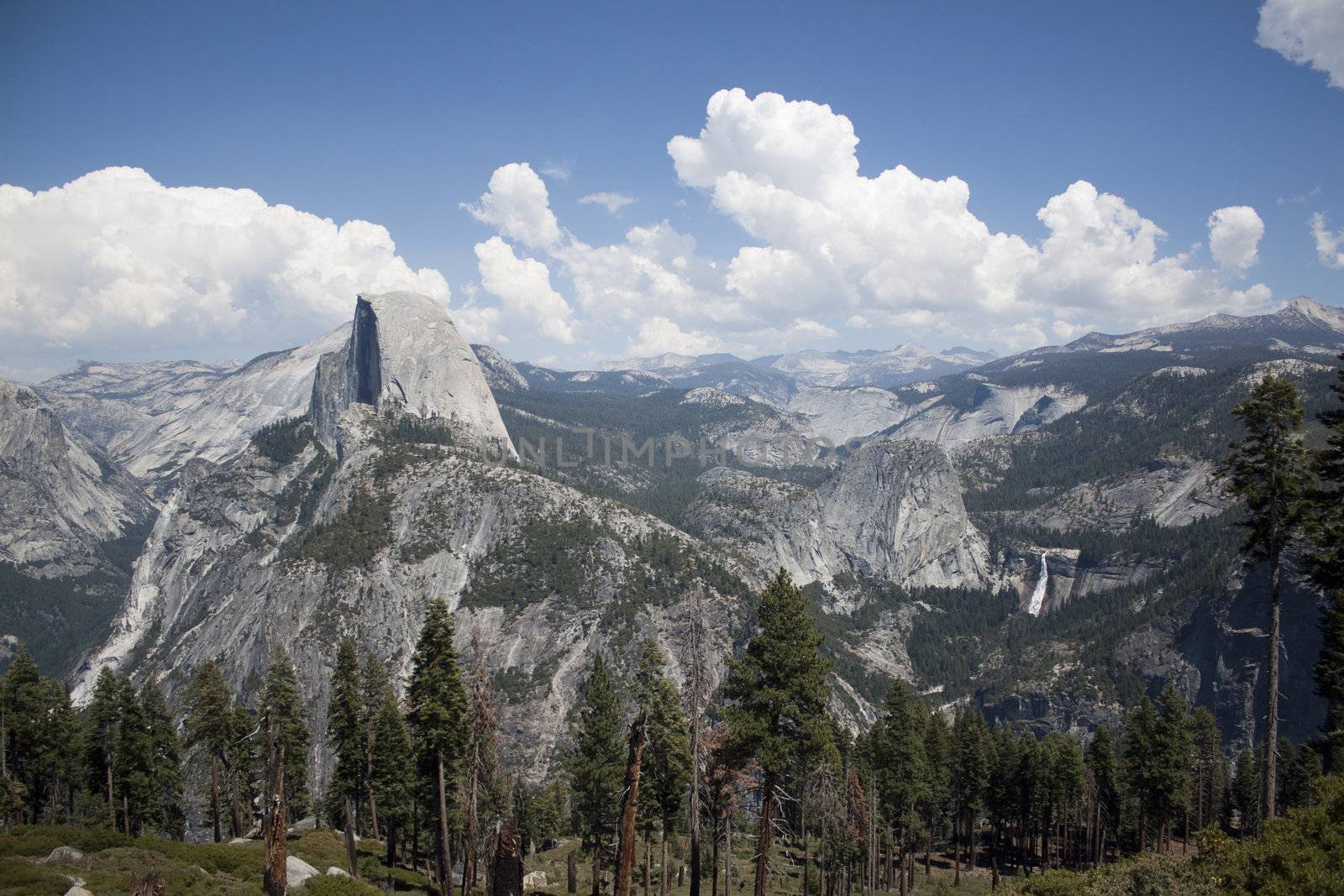 Yosemite National Park in the summer.