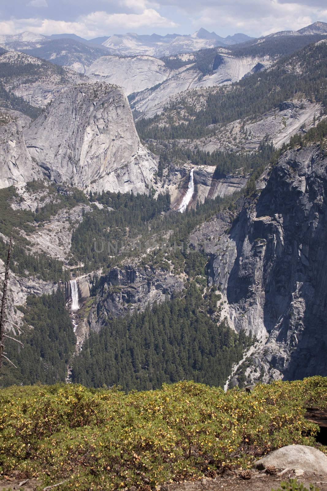 Yosemite National Park in the summer.