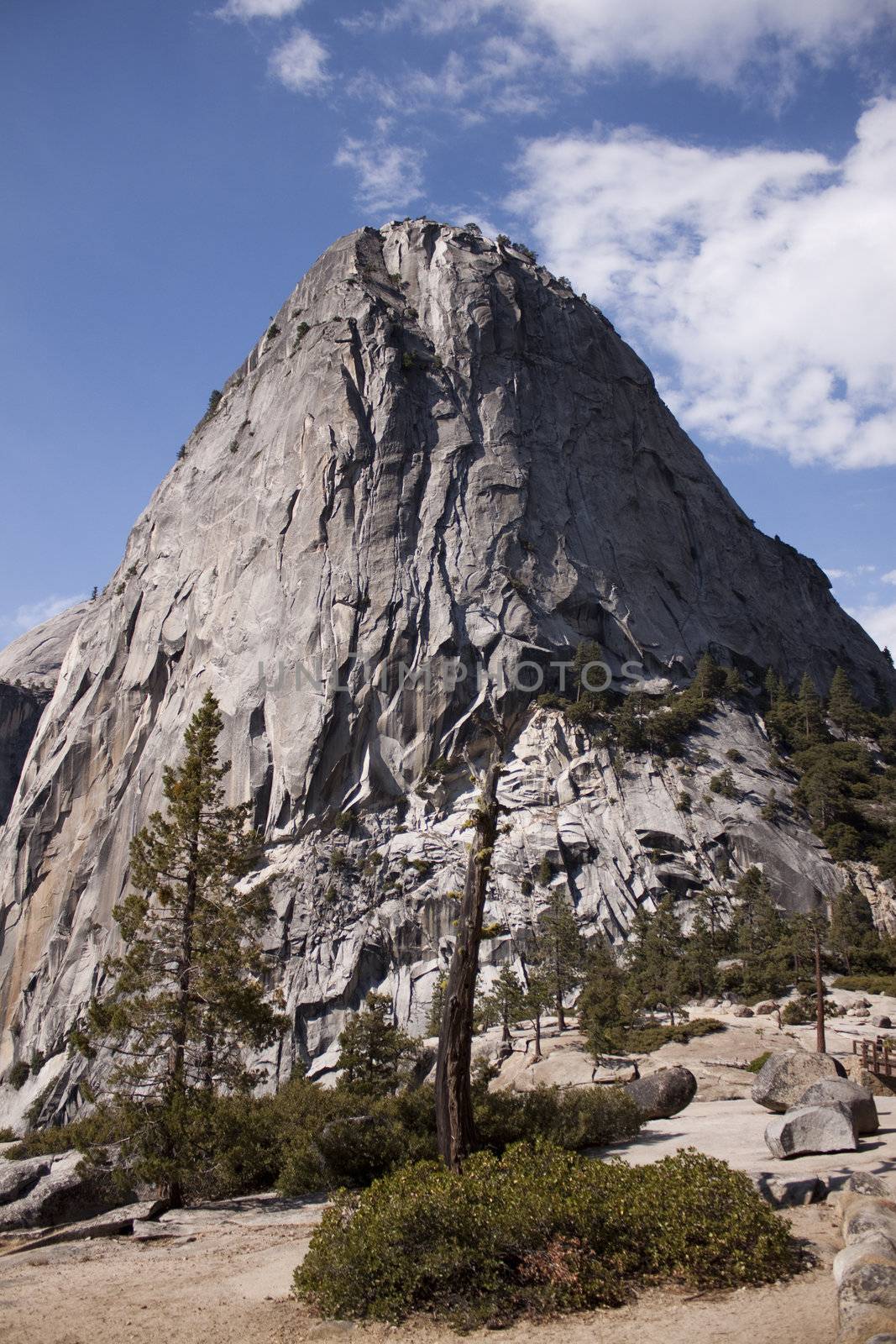 Yosemite National Park in the summer.