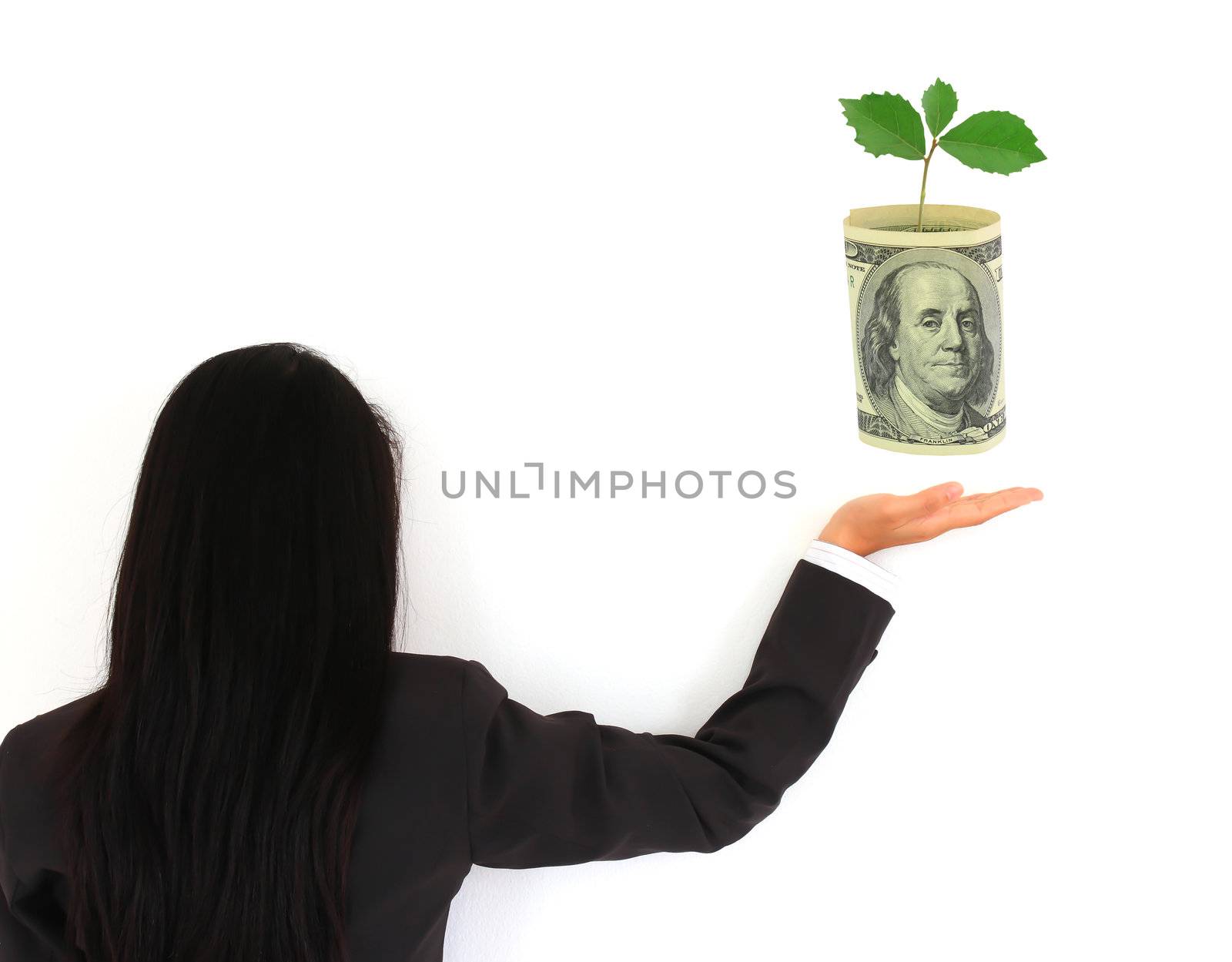 photo of money tree made of dollars on hand by rufous