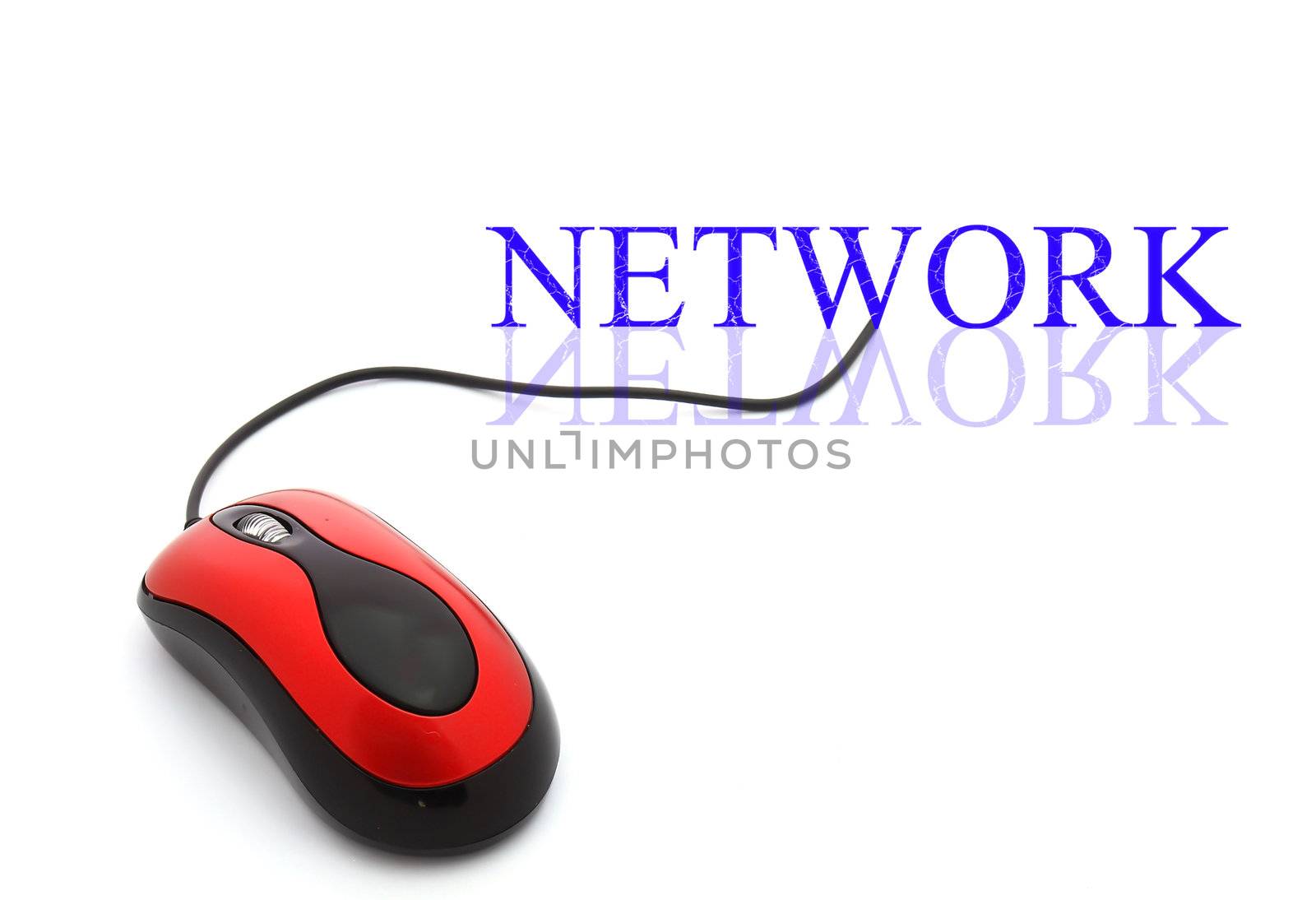 Network word connected with pc mouse by rufous