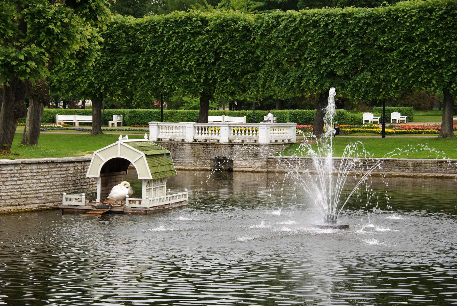 Pond with a fountain by andrei_kolyvanov