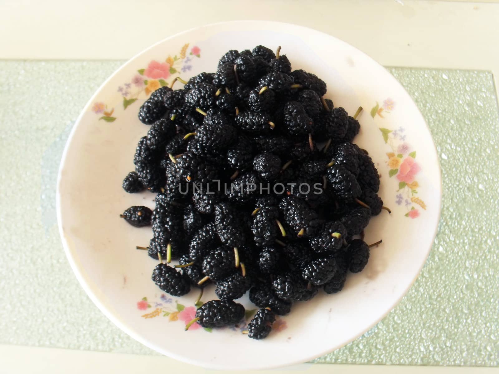 Mulberry