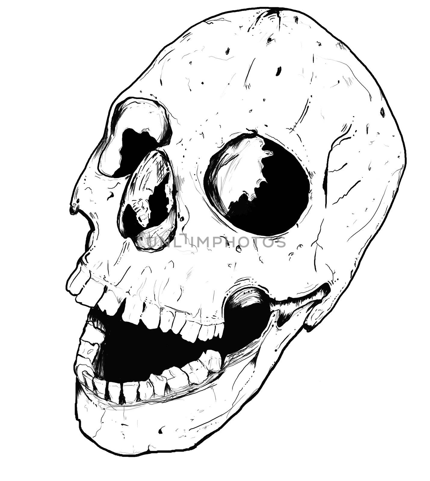 Human hand drawn skull fear death head dead pirate by jeremywhat