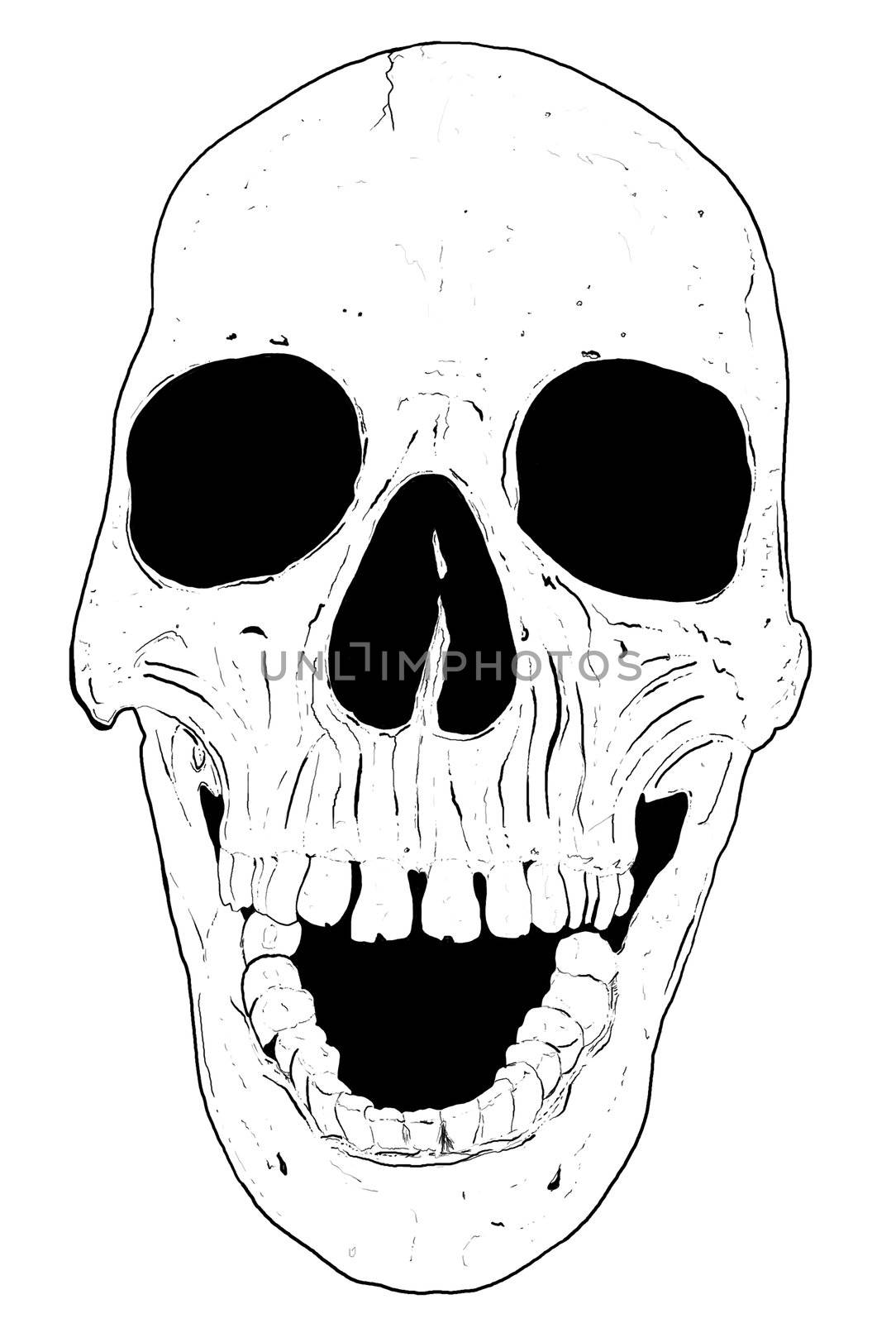 Human hand drawn skull fear death head dead pirate by jeremywhat