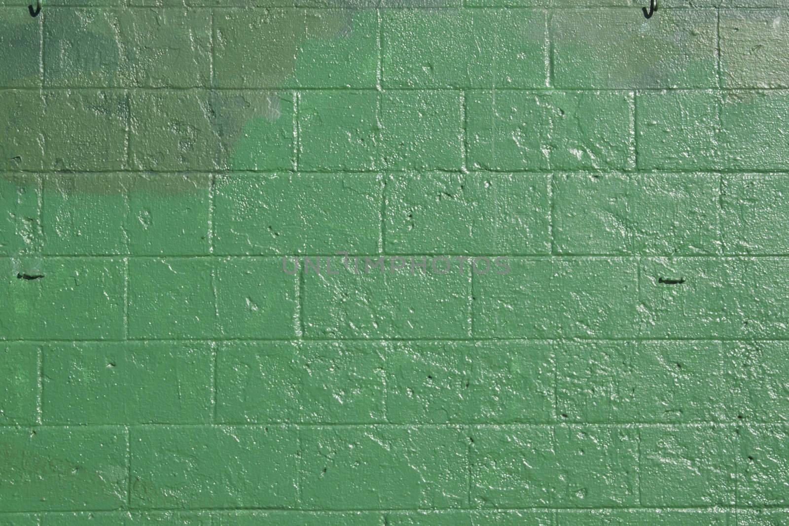 Green brick wall by jeremywhat