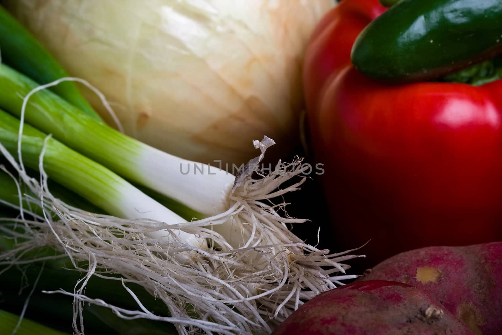 a ton of fresh vegetables from the farmers market