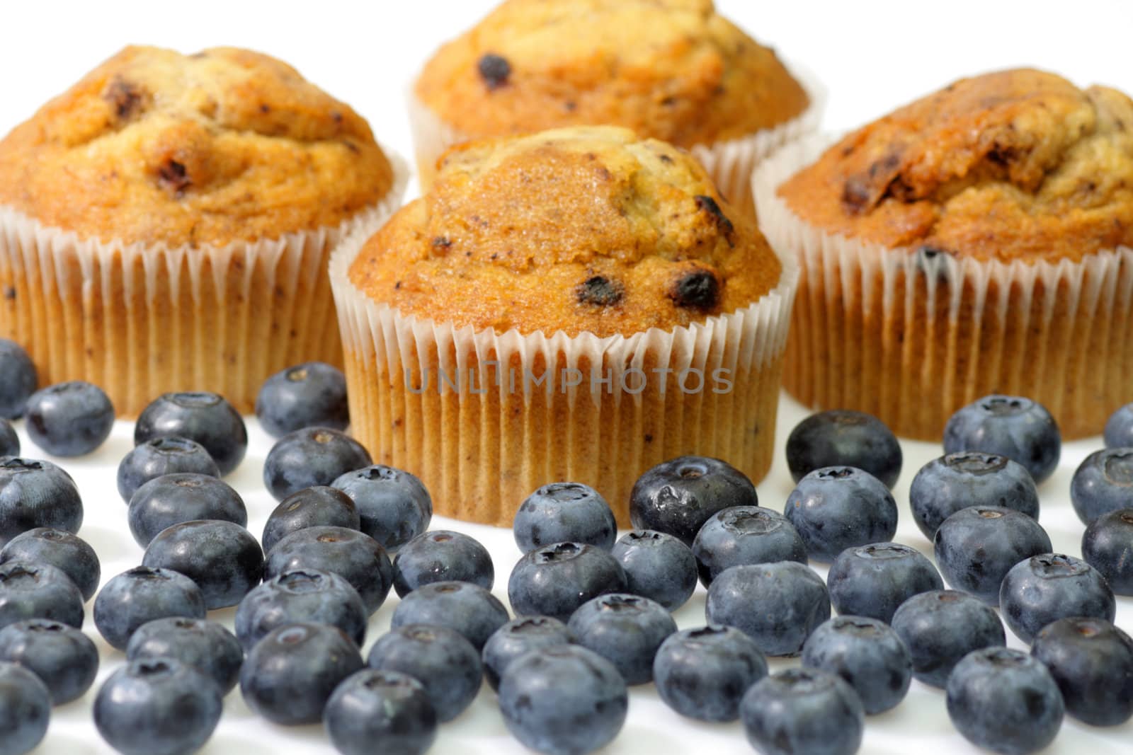 Muffins with blueberries on bright background