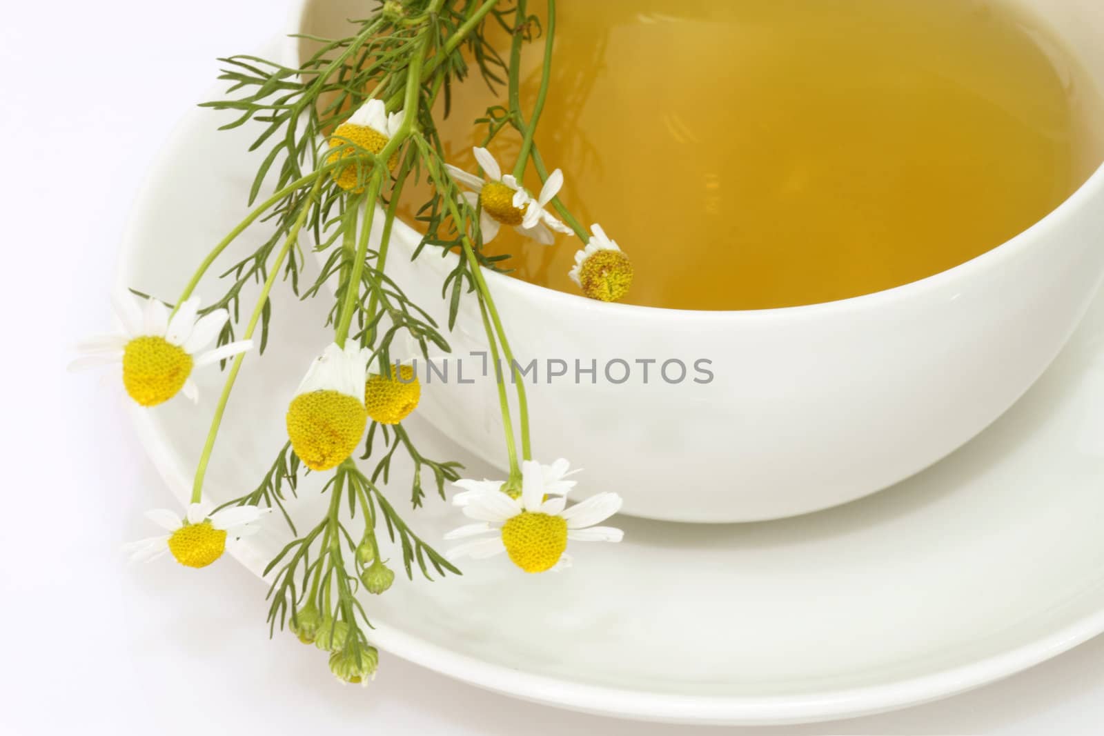 Herbal camomile tea on bright background