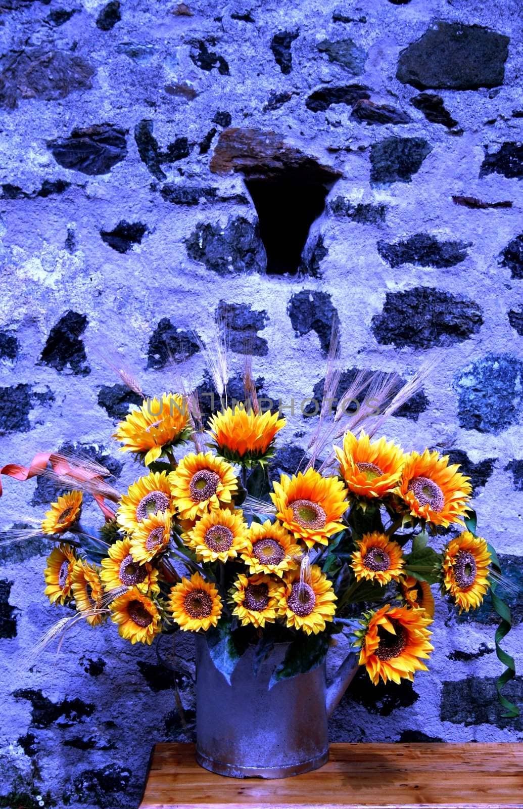 Sunflowers on blue wall