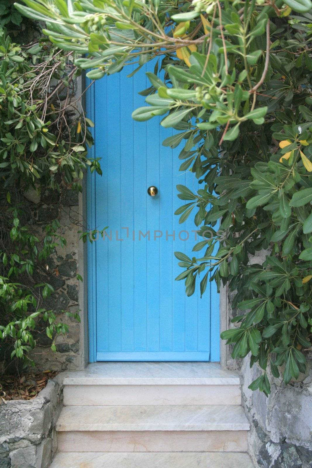 Blue door on the street