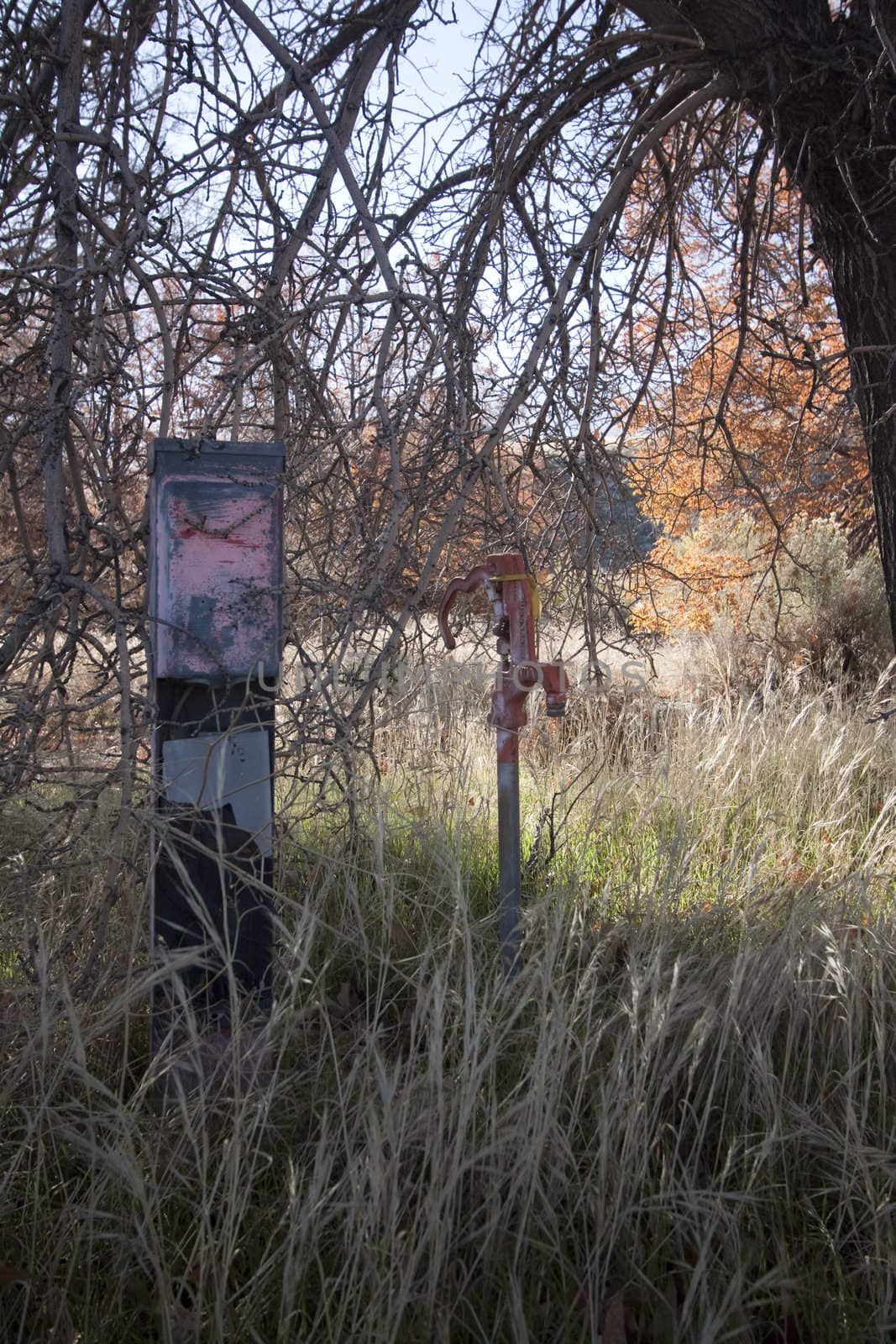 An abandoned rv park