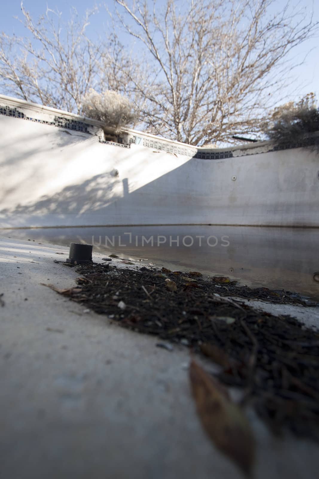 An old pool with nasty water