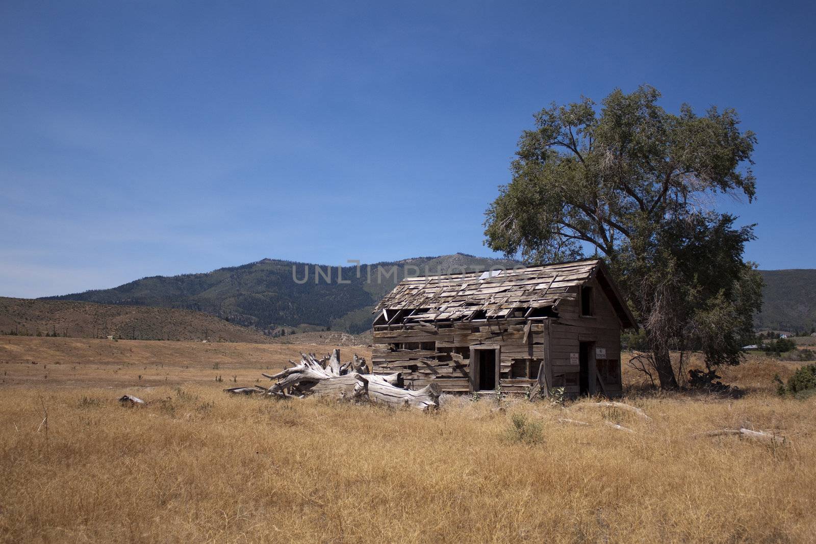 Old farm barn or cain in the open planes by jeremywhat