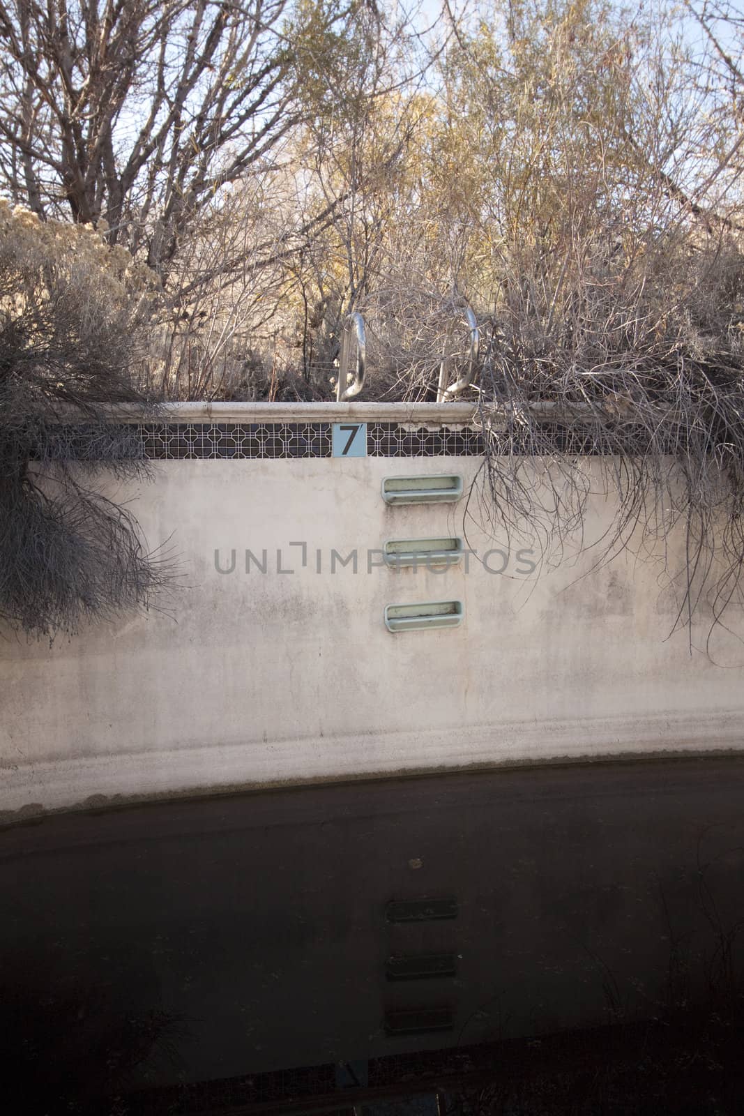 An old pool with nasty water