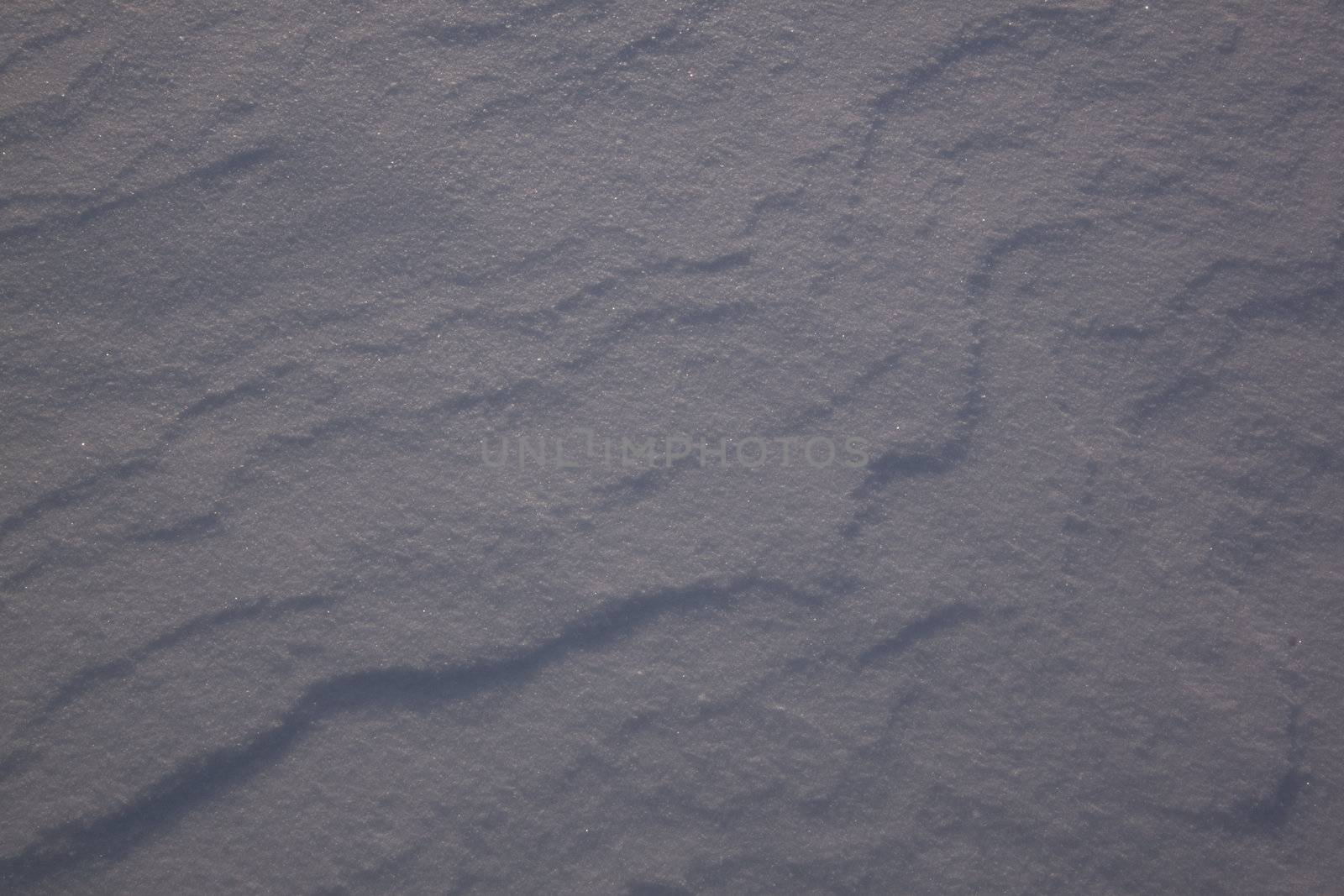 A snowy winter morning plain - countryside snow outdoor scene freezing