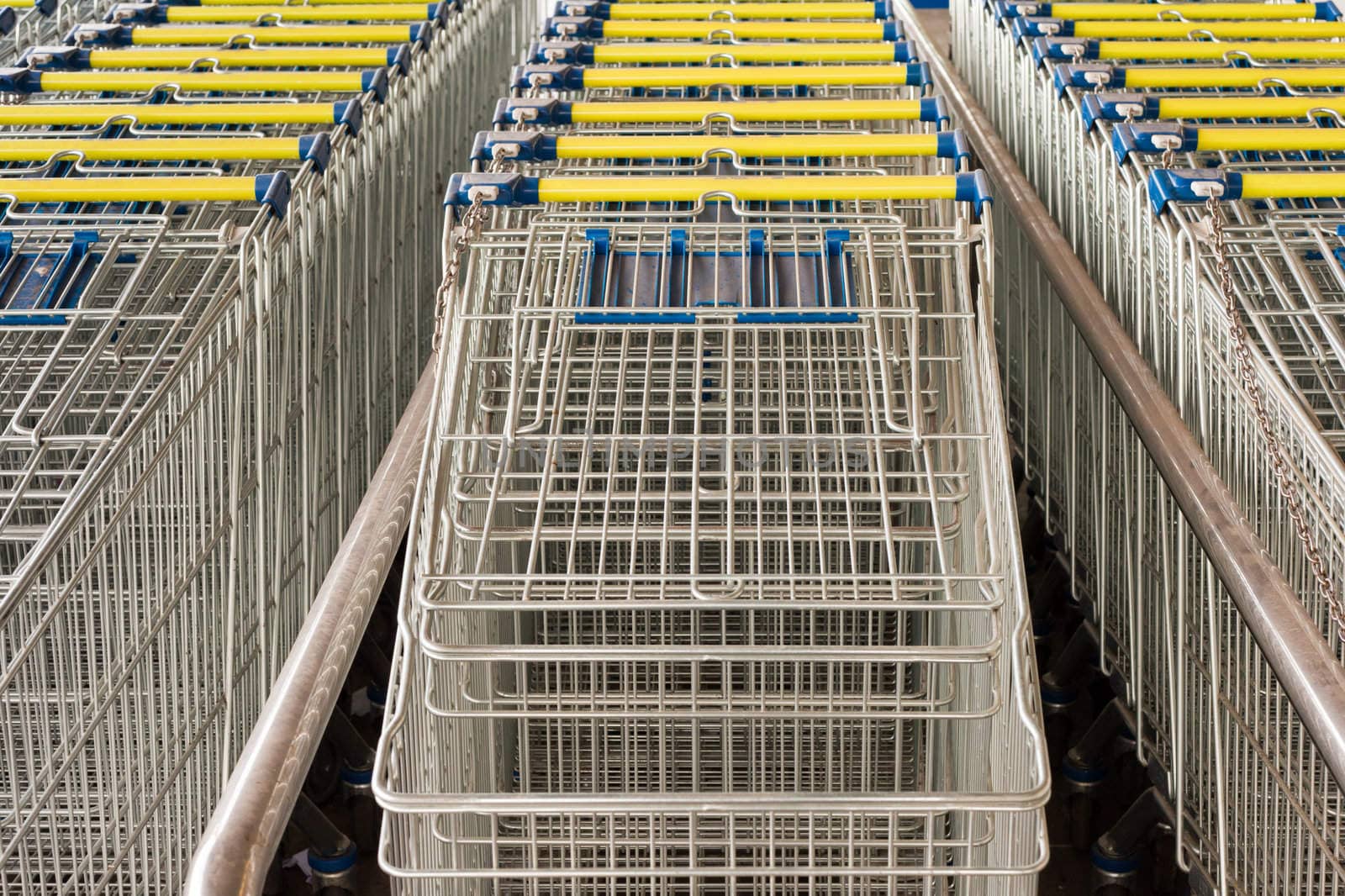 Rows of lined-up Shopping Carts by PiLens