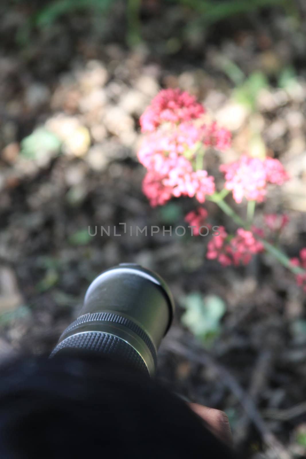 Woman photographer holding a photo camera outdoors.