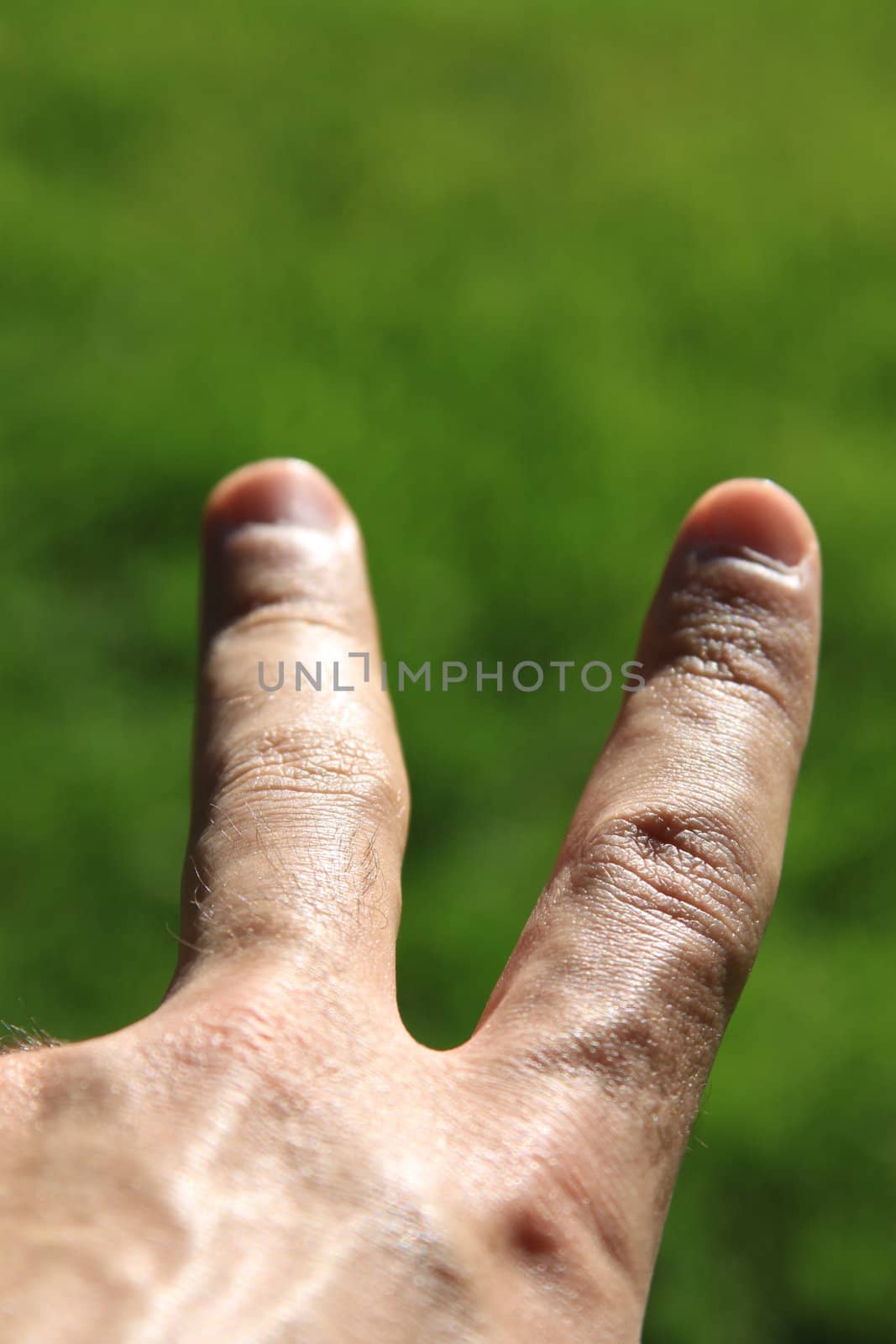 Man's hand showing peace sign.