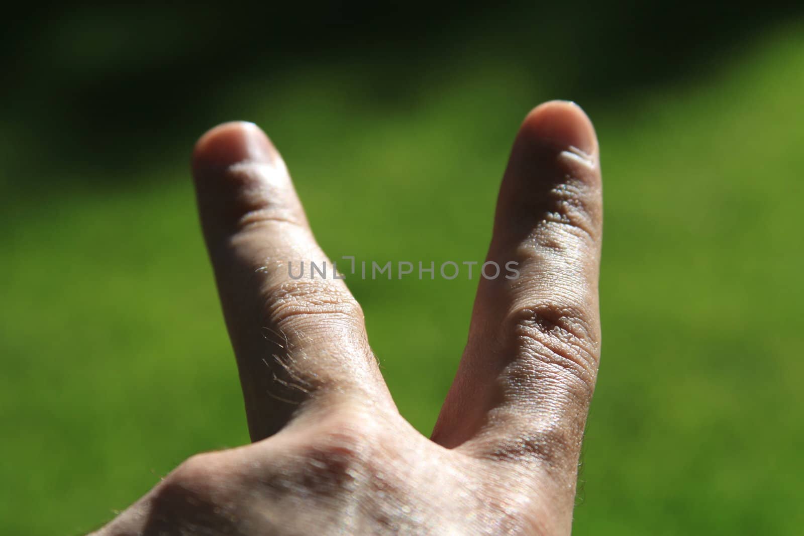 Man's hand showing peace sign.