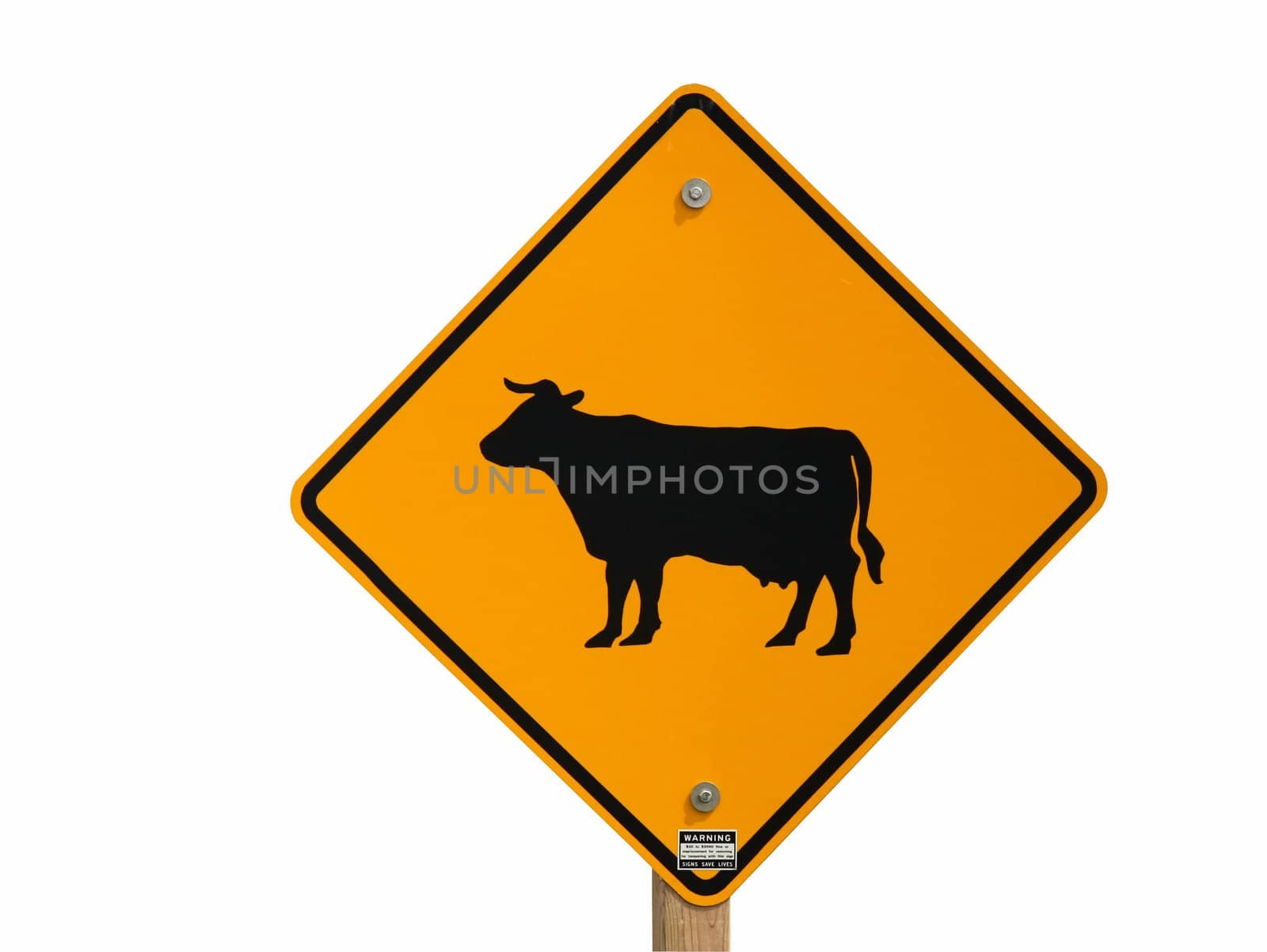 cattle crossing sign isolated by dcwcreations