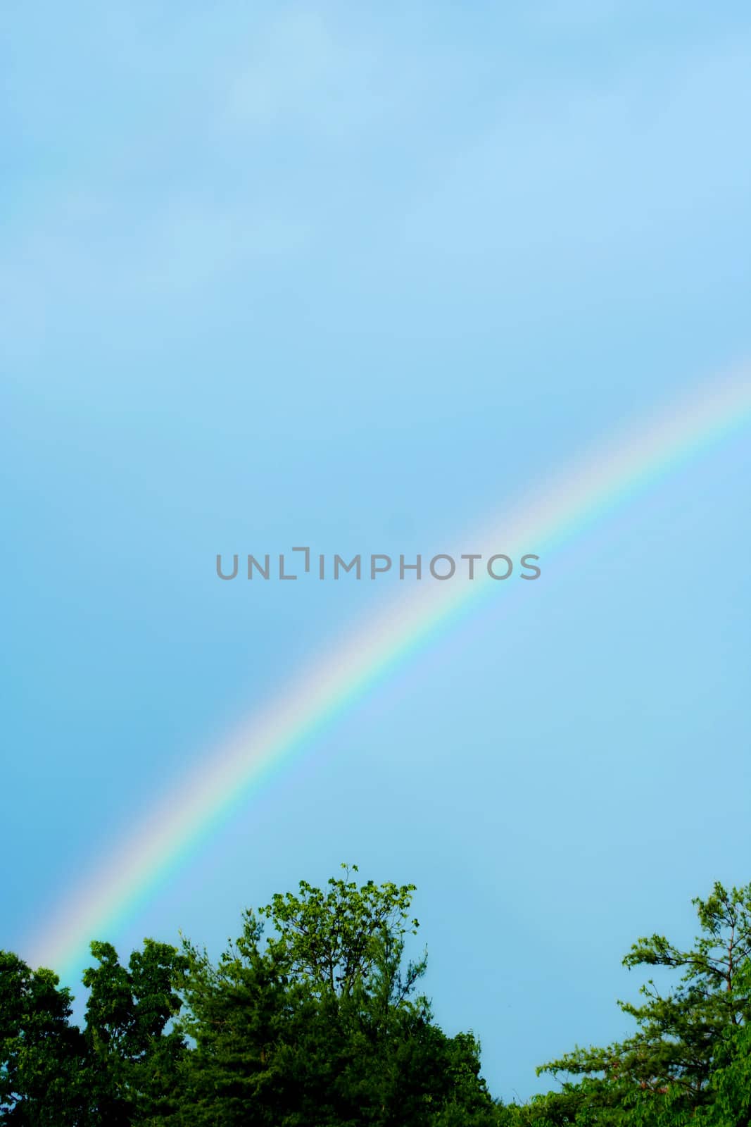 A Rainbow with blue skies and trees