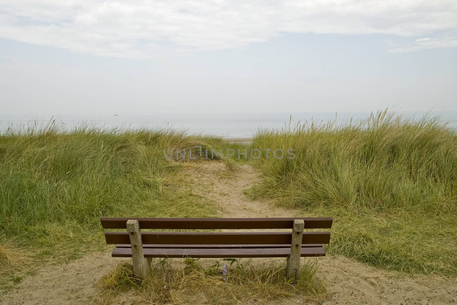 An empty bench in the dunes looking out to sea, in the Netherlands