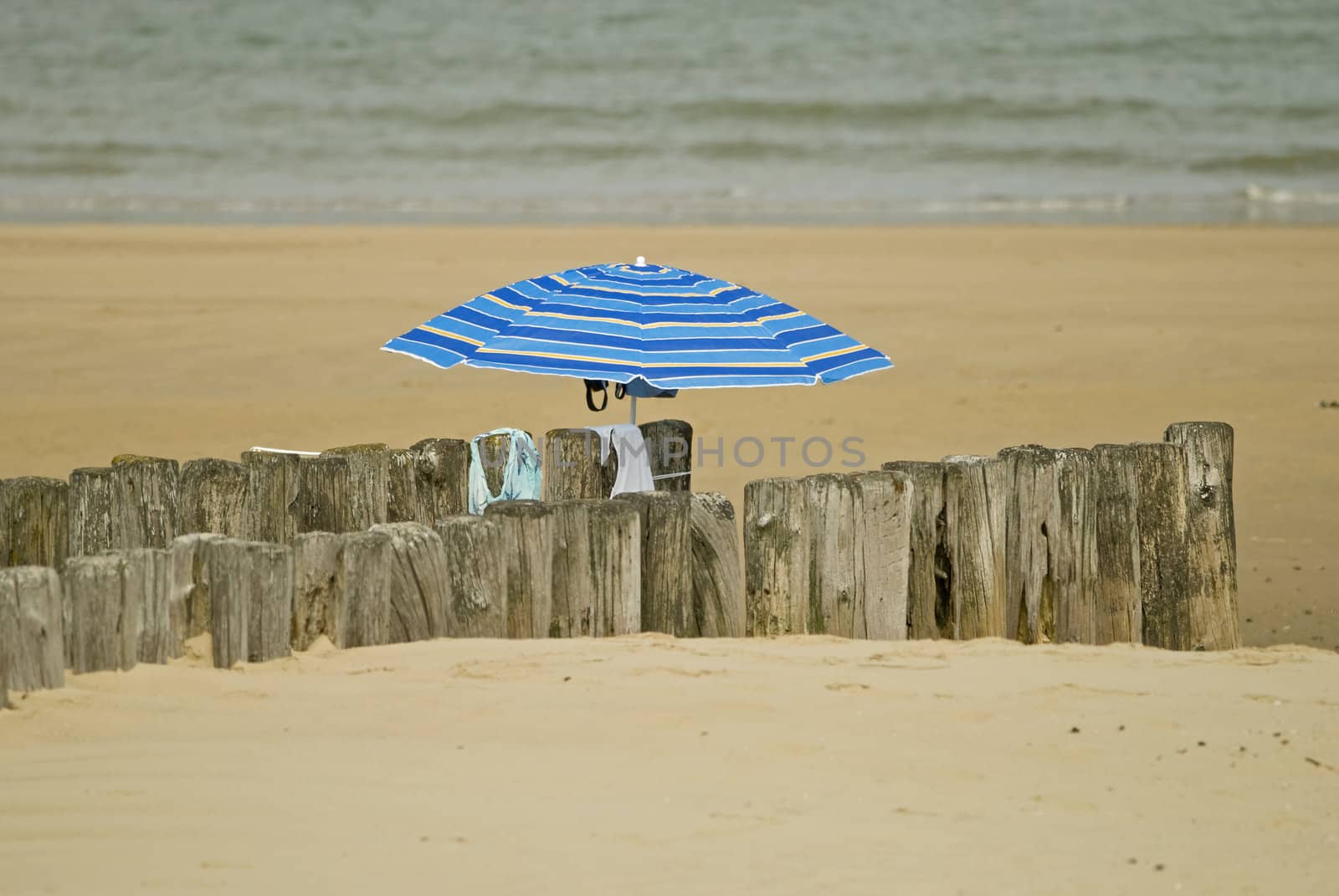 Umbrella on a empty beach at the dutch coast