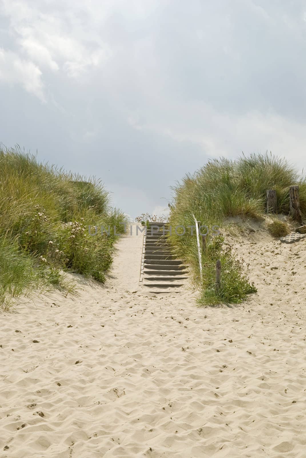 Stairs in the dunes on dutch coast