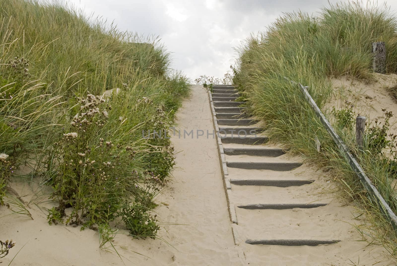 Stairs in the dunes by Gertje