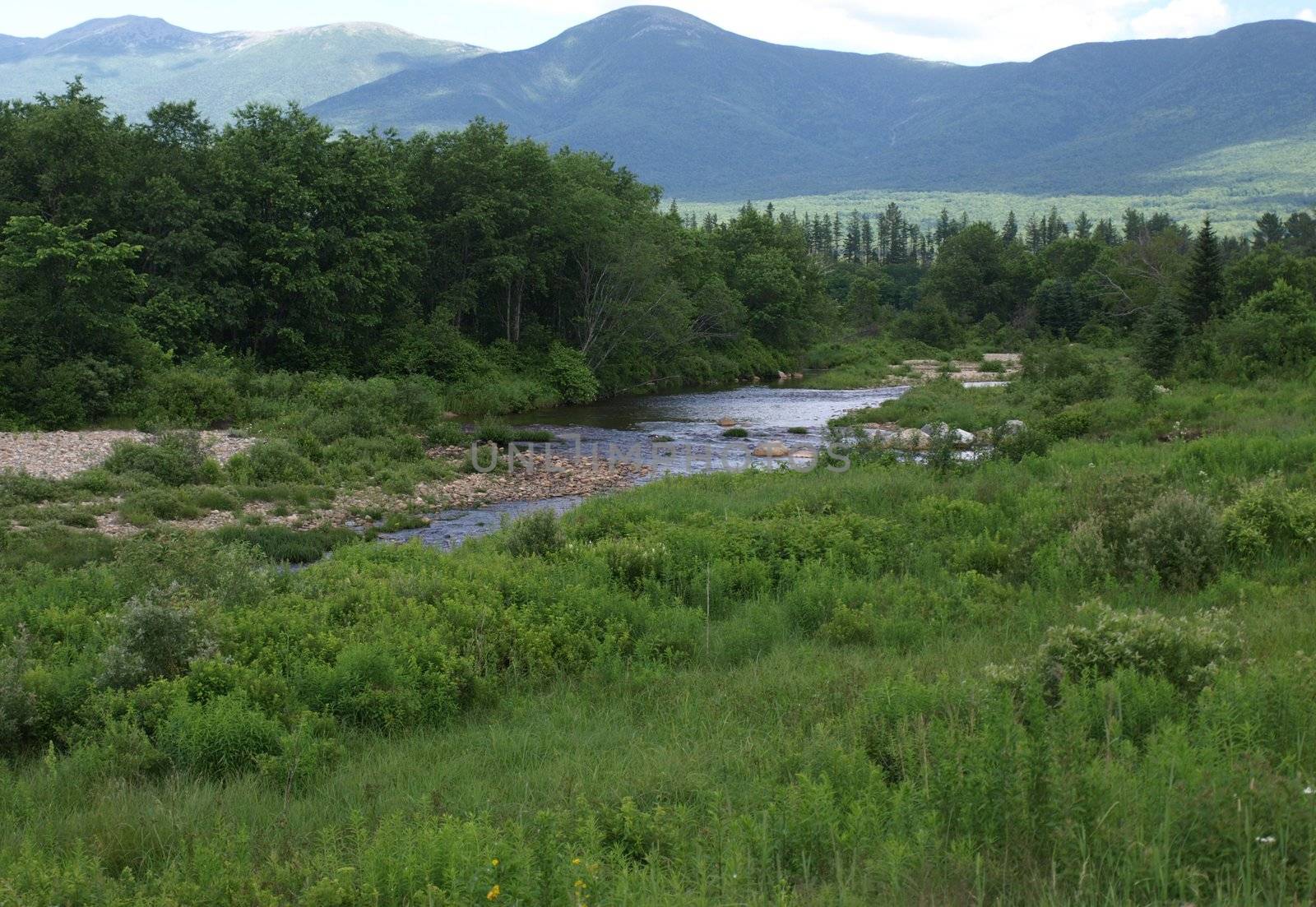 A flowing creek in rural New Hampshire
