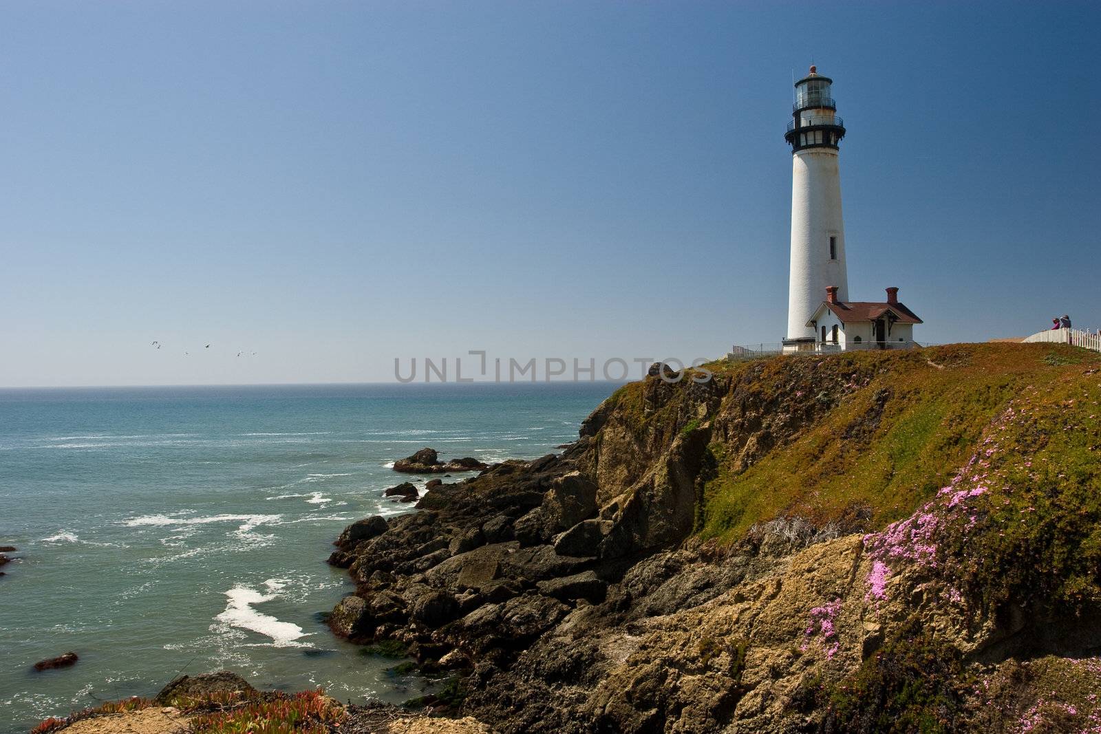 Pigeon Point by melastmohican