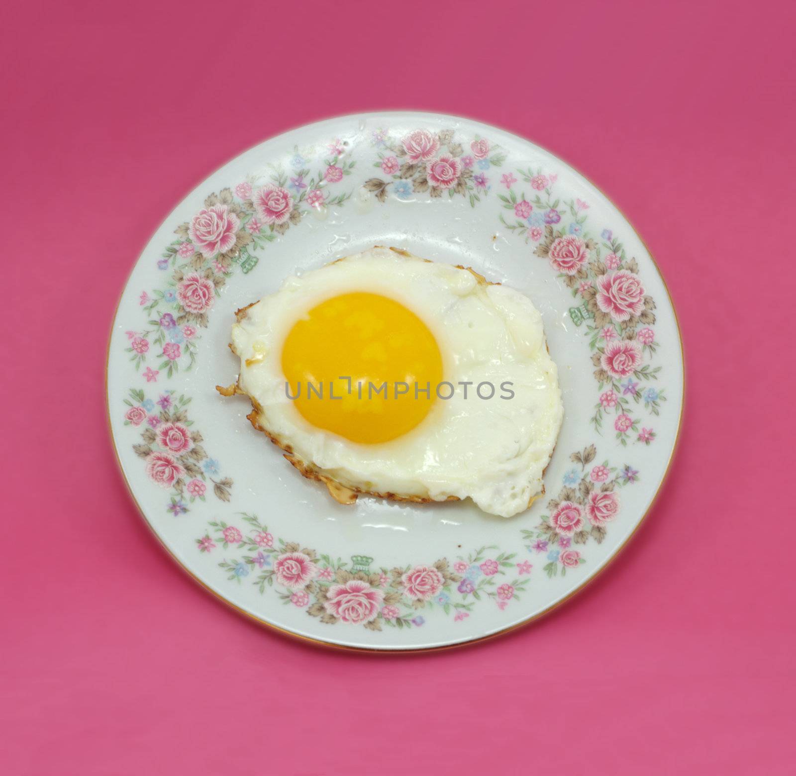 one fried egg on plate isolated on purple